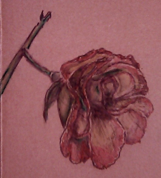 Pink and Yellow Rose Watercolor