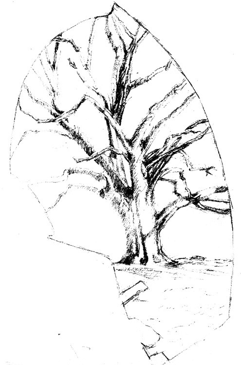 Tree Viewed Through Swing Drawing