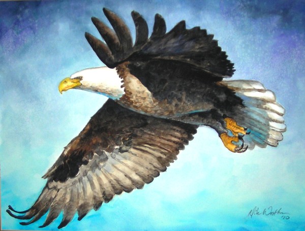 Eagle aflight