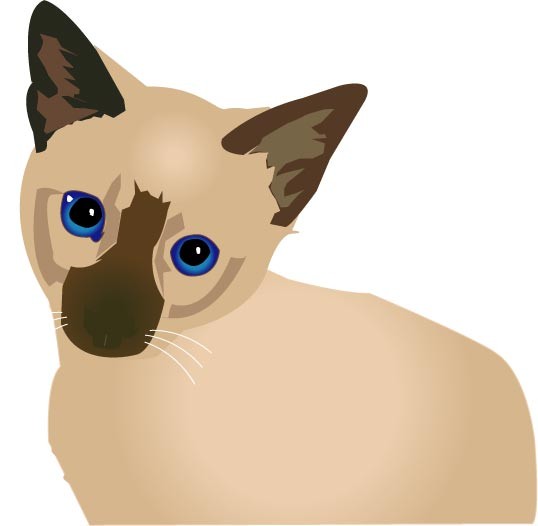 Mr. Kinko