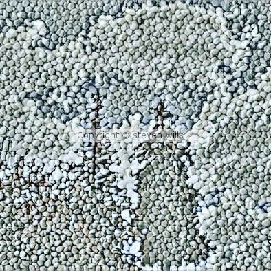 820treesandclouds