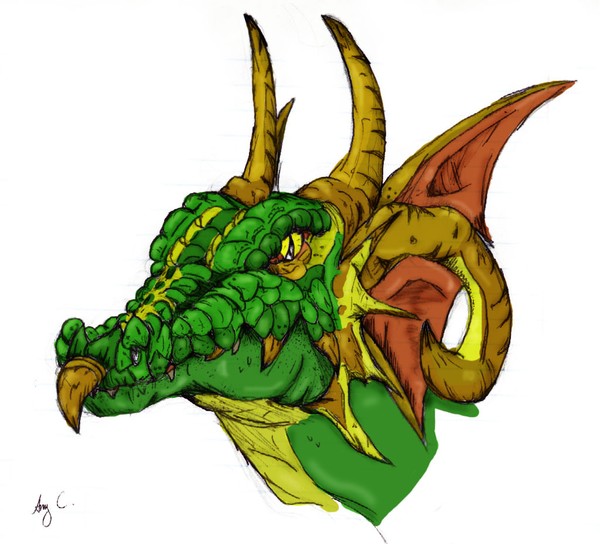 Dragon head, colored