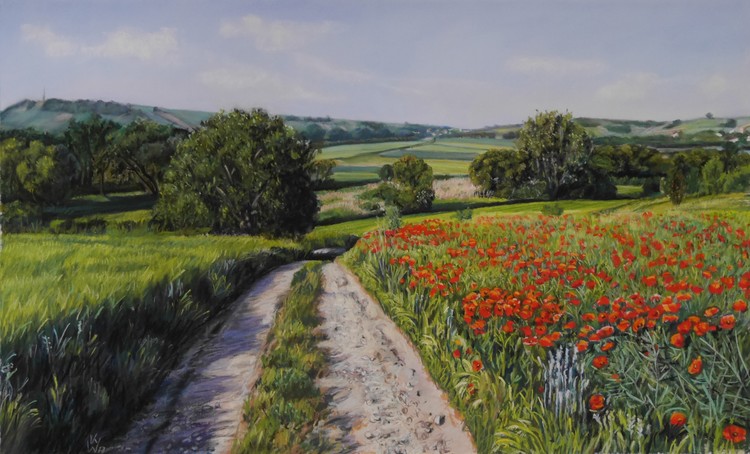 unpaved road with poppies (91 Weg mit Mohnfeld)