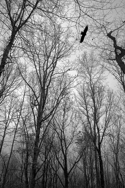 November