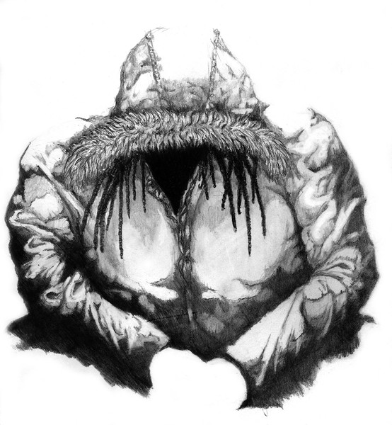 Parka