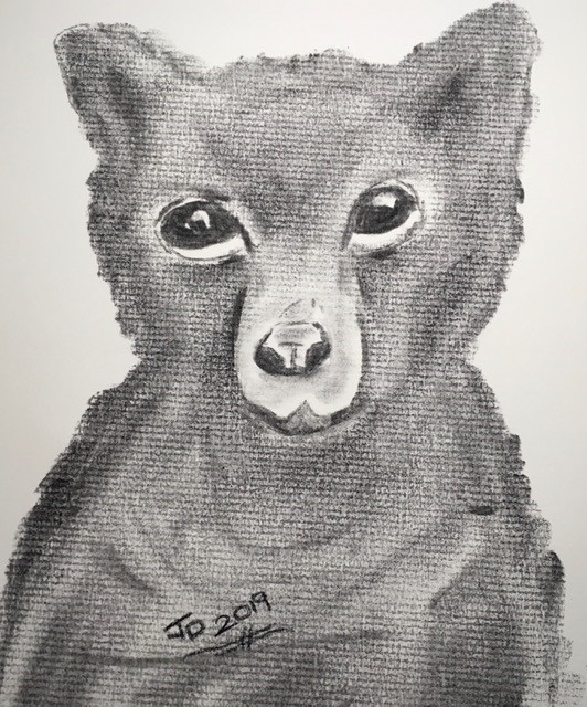 Baby Bear 
