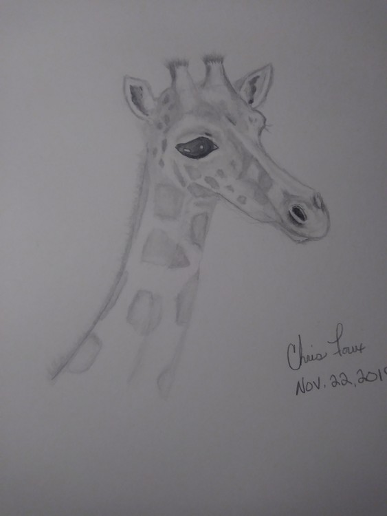 Giraffe