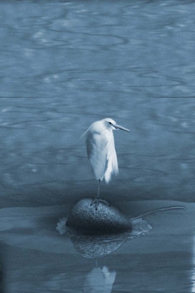 Alone At Last......