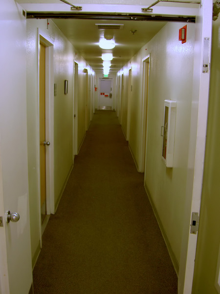 The Hall