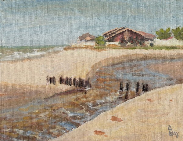 Brazilian house