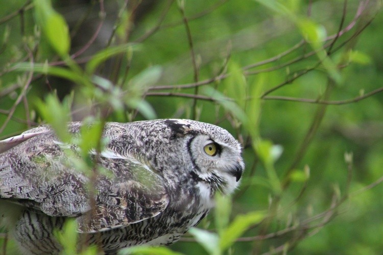 on the hunt