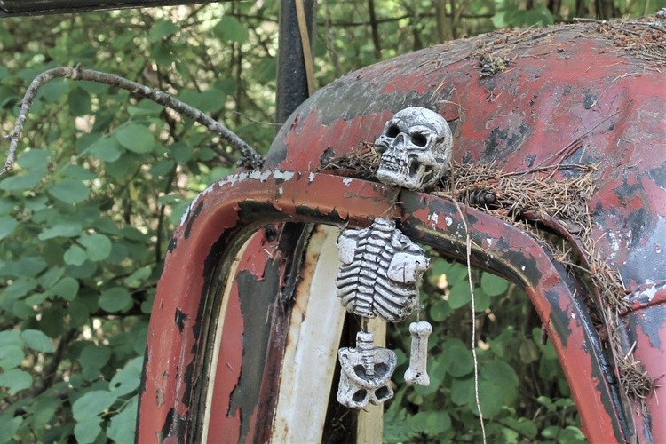 skull in door