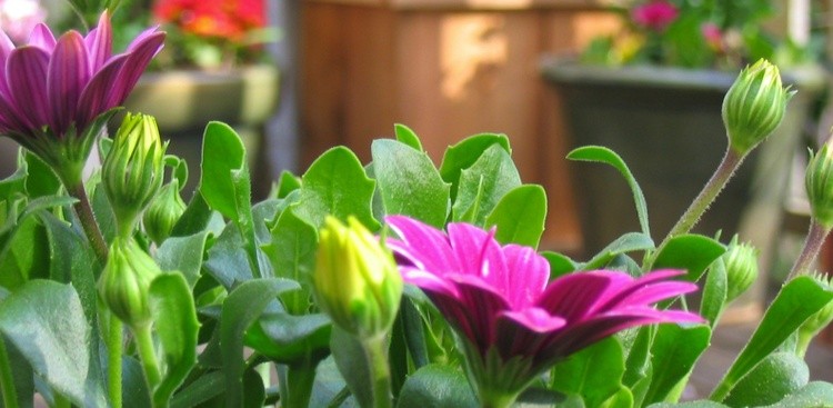 spring is here