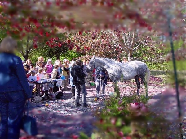 Commons fair 
