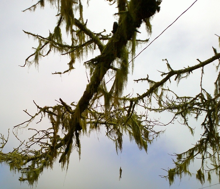 DSCF0033
