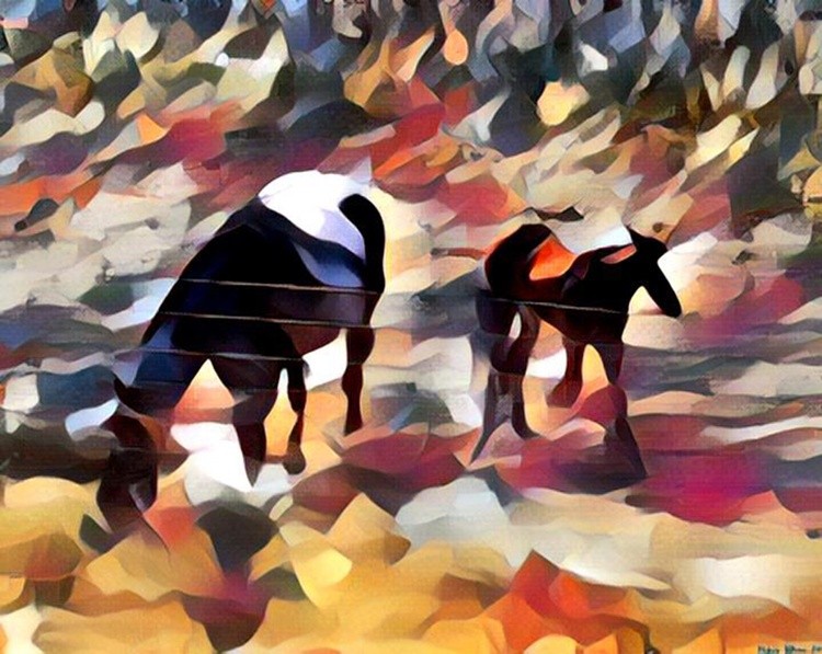 mare and foal