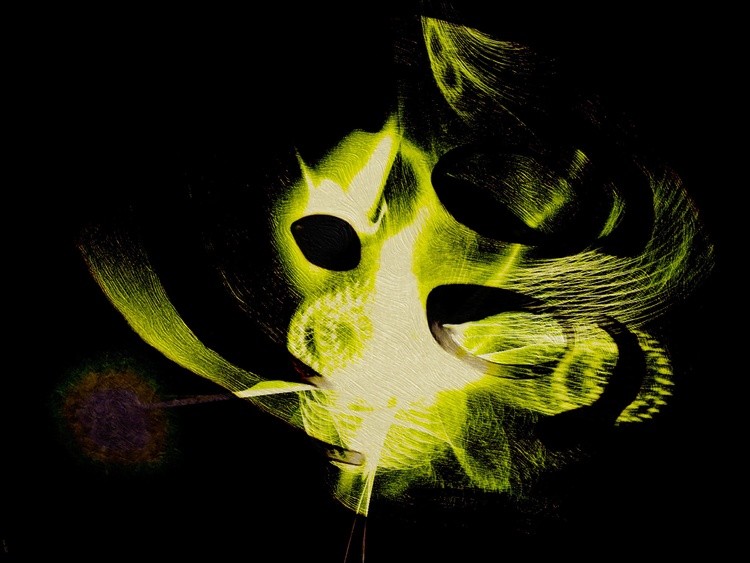 Ghost Light Cat