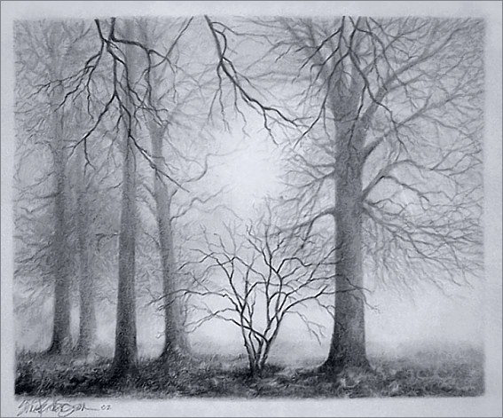 ...thoughts in the mist for tina 