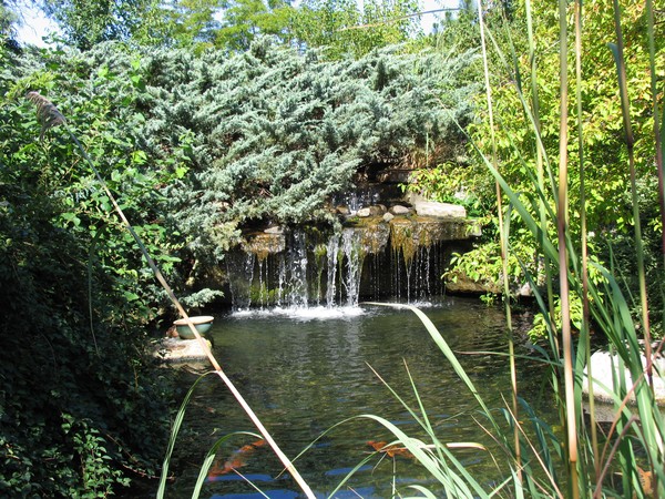 Water Fall