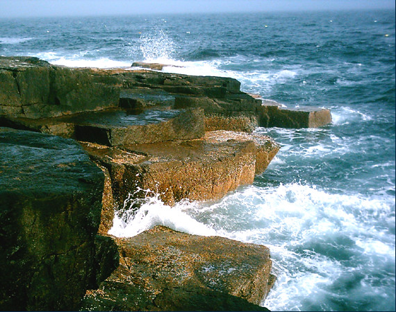 Schoodic Pt., ME