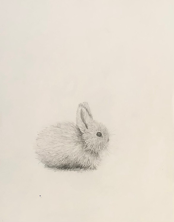 Little Bunny