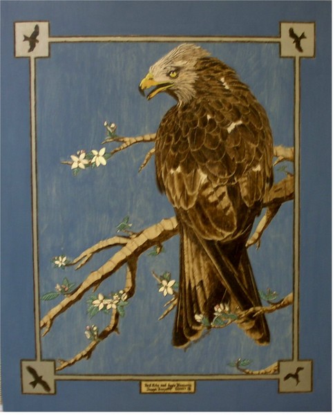 Red Kite and Apple Blossoms