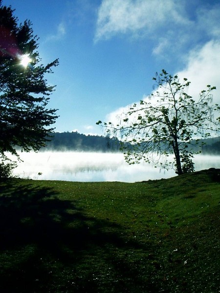 Early Morning Mist
