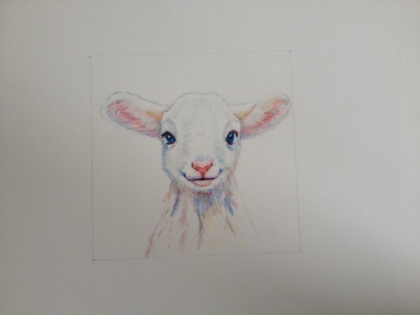 Little Lamb