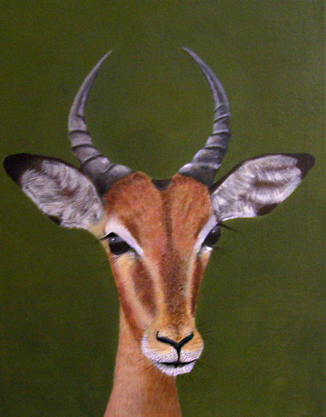  Impala