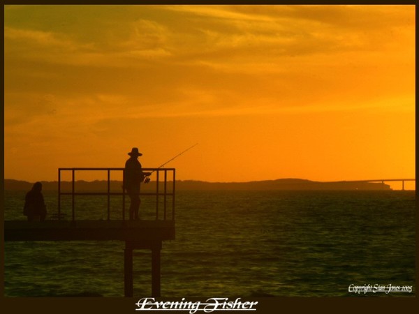 Evening Fisher