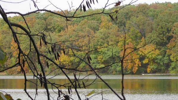 Beaver Dam Lake