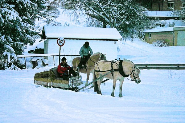Winter mood