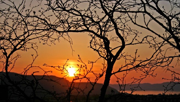 The silent evening