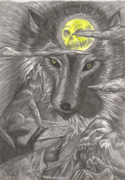 call of the midnight sun