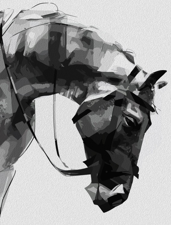 Abstract Horse Portrait – Equine Strength in Monochrome