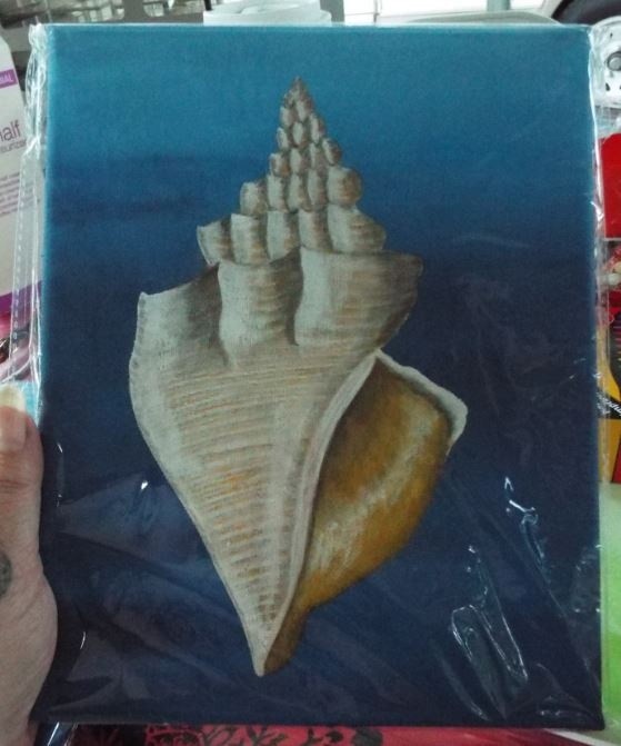 shell i painted 4 kim1
