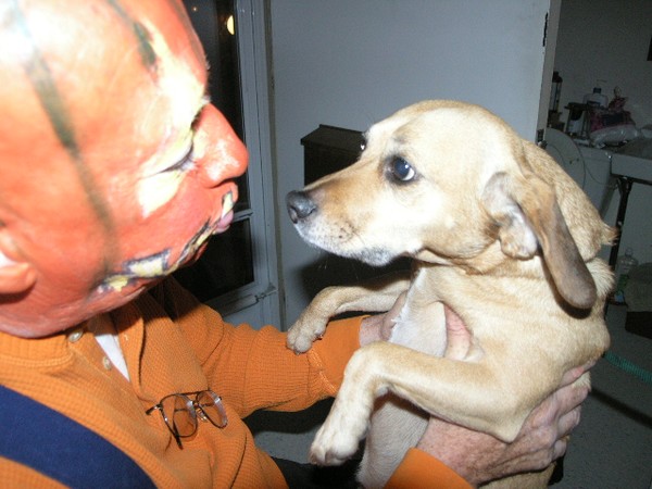 scaring the dog