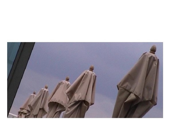 Grey Cardinals' Parade