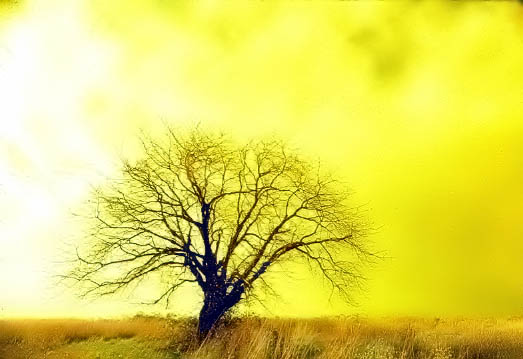 after a storm