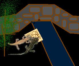Bridge newts