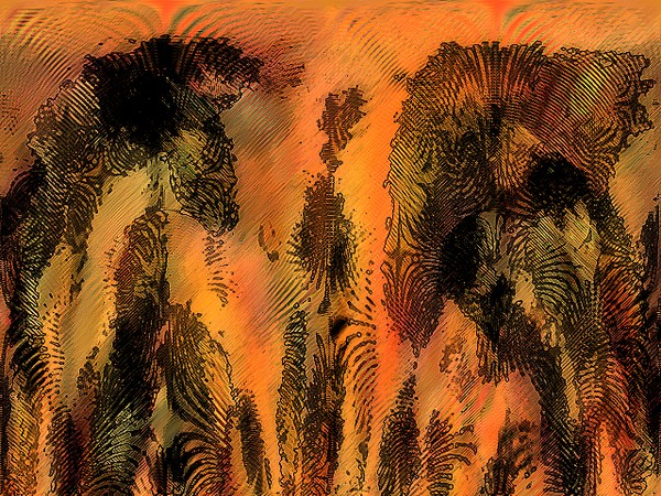 SELVA 
