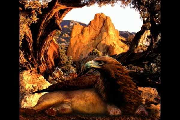 Griffin