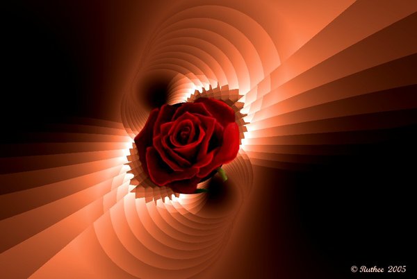 XaoS MEANING OF LOVE