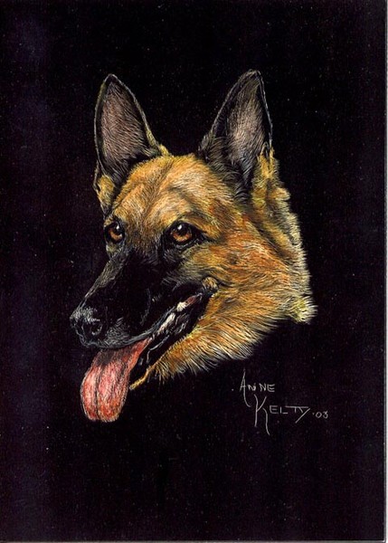 In Memory of Atticus