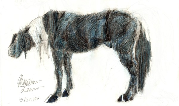 Random Homozygous horse Character