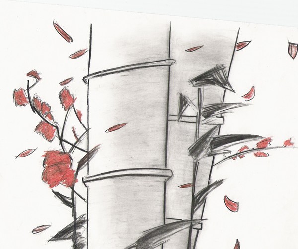 bamboo sketch