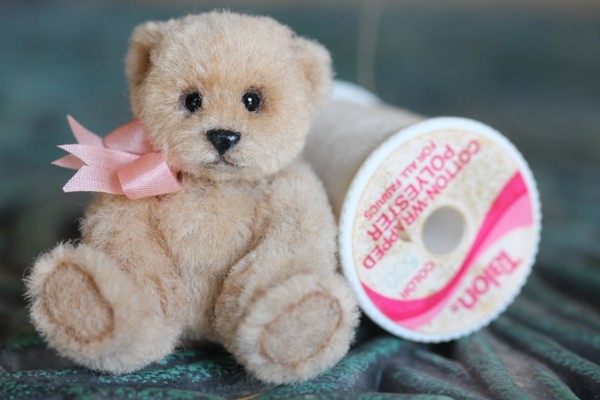 Teddy Bear