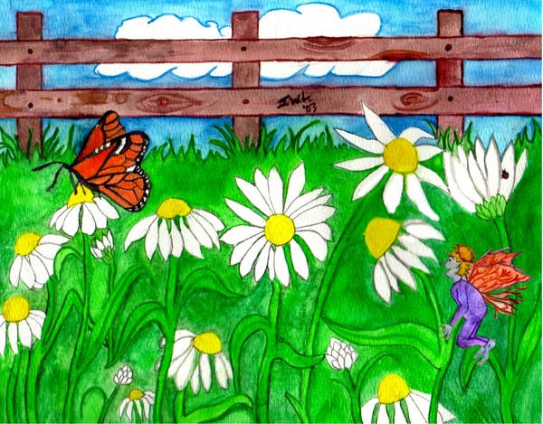 Daisy Field