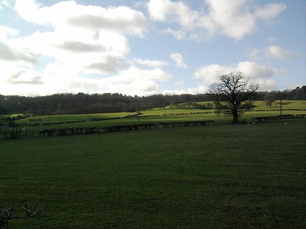 England, this green and pleasant land 7