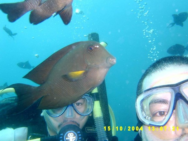 Teach a Fish to Kiss